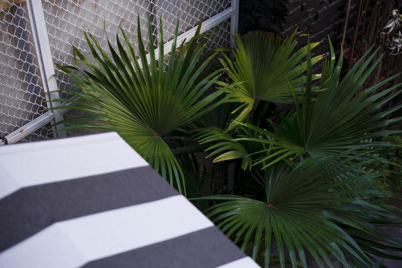 被愛咖啡小旅館 Birdeye Garden Tainan Extérieur photo